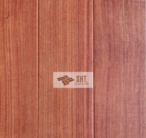 Trac-Chau-phi-11_result-1-e1560219175927